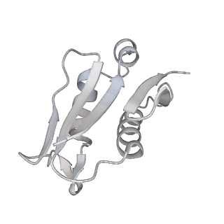 24422_8esr_U_v1-2
Ytm1 associated nascent 60S ribosome (-fkbp39) State 2