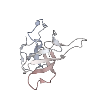 24422_8esr_V_v1-2
Ytm1 associated nascent 60S ribosome (-fkbp39) State 2