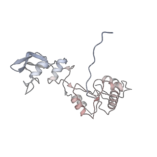 24422_8esr_W_v1-2
Ytm1 associated nascent 60S ribosome (-fkbp39) State 2