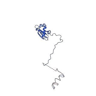 24422_8esr_X_v1-2
Ytm1 associated nascent 60S ribosome (-fkbp39) State 2