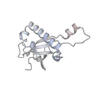 24422_8esr_Z_v1-2
Ytm1 associated nascent 60S ribosome (-fkbp39) State 2