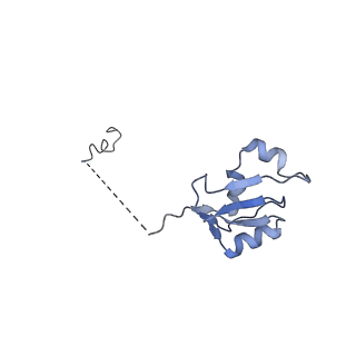 24422_8esr_a_v1-2
Ytm1 associated nascent 60S ribosome (-fkbp39) State 2