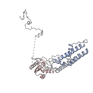 24422_8esr_b_v1-2
Ytm1 associated nascent 60S ribosome (-fkbp39) State 2