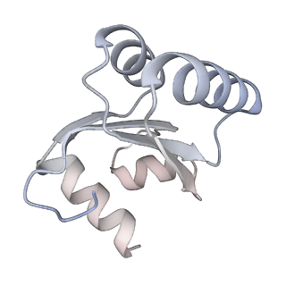 24422_8esr_c_v1-2
Ytm1 associated nascent 60S ribosome (-fkbp39) State 2