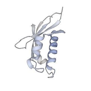 24422_8esr_d_v1-2
Ytm1 associated nascent 60S ribosome (-fkbp39) State 2