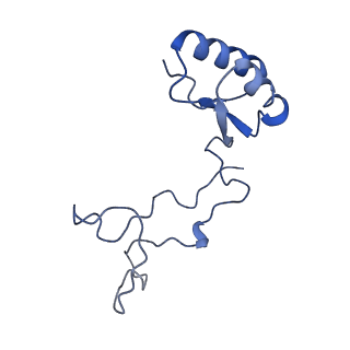 24422_8esr_e_v1-2
Ytm1 associated nascent 60S ribosome (-fkbp39) State 2