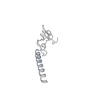 24422_8esr_g_v1-2
Ytm1 associated nascent 60S ribosome (-fkbp39) State 2