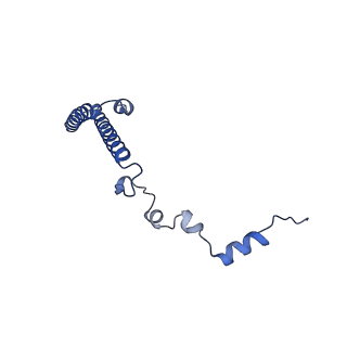 24422_8esr_h_v1-2
Ytm1 associated nascent 60S ribosome (-fkbp39) State 2