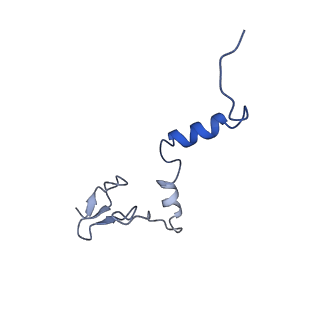 24422_8esr_j_v1-2
Ytm1 associated nascent 60S ribosome (-fkbp39) State 2