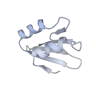 24422_8esr_k_v1-2
Ytm1 associated nascent 60S ribosome (-fkbp39) State 2
