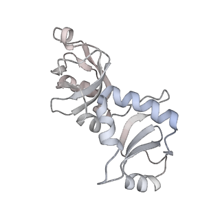 24422_8esr_l_v1-2
Ytm1 associated nascent 60S ribosome (-fkbp39) State 2