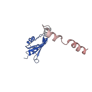 24422_8esr_o_v1-2
Ytm1 associated nascent 60S ribosome (-fkbp39) State 2