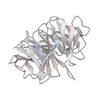 24422_8esr_p_v1-2
Ytm1 associated nascent 60S ribosome (-fkbp39) State 2