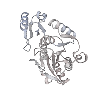 24422_8esr_q_v1-2
Ytm1 associated nascent 60S ribosome (-fkbp39) State 2