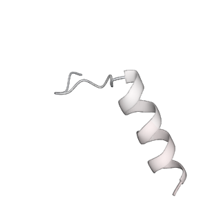 24422_8esr_s_v1-2
Ytm1 associated nascent 60S ribosome (-fkbp39) State 2