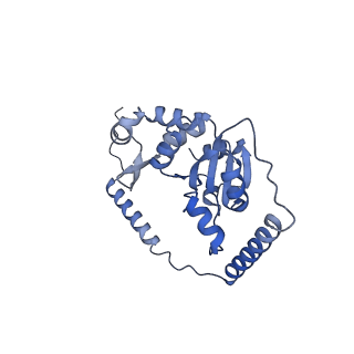 24422_8esr_t_v1-2
Ytm1 associated nascent 60S ribosome (-fkbp39) State 2