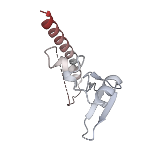 24422_8esr_u_v1-2
Ytm1 associated nascent 60S ribosome (-fkbp39) State 2