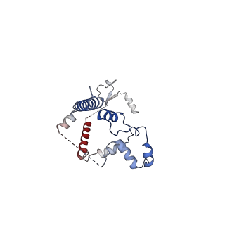 24422_8esr_w_v1-2
Ytm1 associated nascent 60S ribosome (-fkbp39) State 2