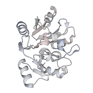 24422_8esr_y_v1-2
Ytm1 associated nascent 60S ribosome (-fkbp39) State 2