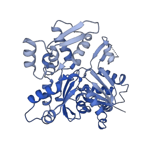 28575_8esc_A_v1-0
Structure of the Yeast NuA4 Histone Acetyltransferase Complex