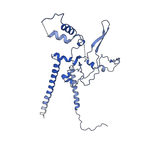 28575_8esc_P_v1-0
Structure of the Yeast NuA4 Histone Acetyltransferase Complex