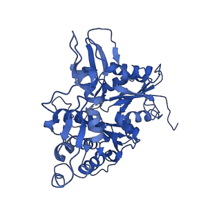 28575_8esc_R_v1-0
Structure of the Yeast NuA4 Histone Acetyltransferase Complex