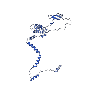 28575_8esc_S_v1-0
Structure of the Yeast NuA4 Histone Acetyltransferase Complex