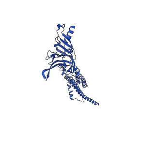 28576_8esk_A_v1-1
Cryo-EM structure of Torpedo nicotinic acetylcholine receptor in complex with rocuronium, resting-like state