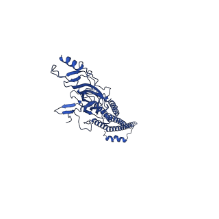 28576_8esk_B_v1-1
Cryo-EM structure of Torpedo nicotinic acetylcholine receptor in complex with rocuronium, resting-like state
