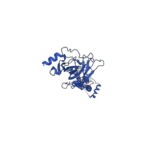 28576_8esk_C_v1-1
Cryo-EM structure of Torpedo nicotinic acetylcholine receptor in complex with rocuronium, resting-like state