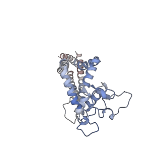 28580_8esv_B_v1-3
Structure of human ADAM10-Tspan15 complex bound to 11G2 vFab