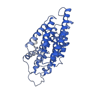 28581_8esw_2_v1-1
Structure of mitochondrial complex I from Drosophila melanogaster, Flexible-class 1