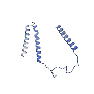 28581_8esw_3_v1-1
Structure of mitochondrial complex I from Drosophila melanogaster, Flexible-class 1