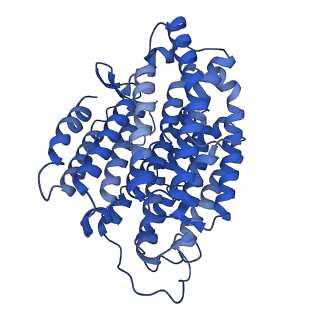 28581_8esw_4_v1-1
Structure of mitochondrial complex I from Drosophila melanogaster, Flexible-class 1