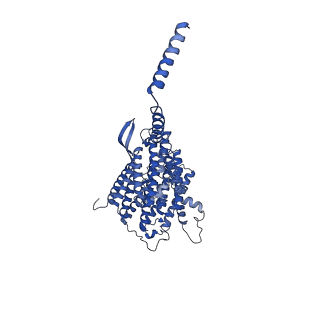 28581_8esw_5_v1-1
Structure of mitochondrial complex I from Drosophila melanogaster, Flexible-class 1