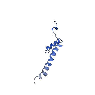 28581_8esw_A1_v1-1
Structure of mitochondrial complex I from Drosophila melanogaster, Flexible-class 1