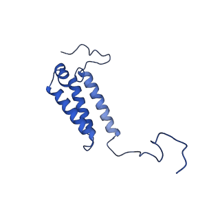 28581_8esw_A5_v1-1
Structure of mitochondrial complex I from Drosophila melanogaster, Flexible-class 1