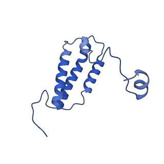 28581_8esw_A6_v1-1
Structure of mitochondrial complex I from Drosophila melanogaster, Flexible-class 1