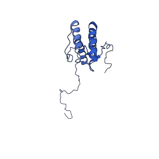 28581_8esw_A8_v1-1
Structure of mitochondrial complex I from Drosophila melanogaster, Flexible-class 1