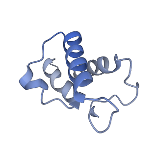 28581_8esw_AB_v1-1
Structure of mitochondrial complex I from Drosophila melanogaster, Flexible-class 1