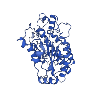 28581_8esw_AL_v1-1
Structure of mitochondrial complex I from Drosophila melanogaster, Flexible-class 1