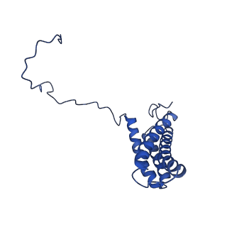 28581_8esw_AM_v1-1
Structure of mitochondrial complex I from Drosophila melanogaster, Flexible-class 1