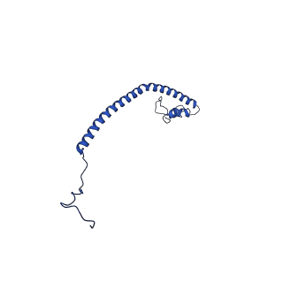 28581_8esw_AO_v1-1
Structure of mitochondrial complex I from Drosophila melanogaster, Flexible-class 1