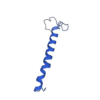 28581_8esw_B1_v1-1
Structure of mitochondrial complex I from Drosophila melanogaster, Flexible-class 1