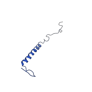 28581_8esw_B2_v1-1
Structure of mitochondrial complex I from Drosophila melanogaster, Flexible-class 1