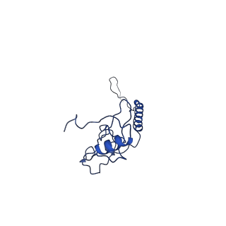 28581_8esw_B8_v1-1
Structure of mitochondrial complex I from Drosophila melanogaster, Flexible-class 1