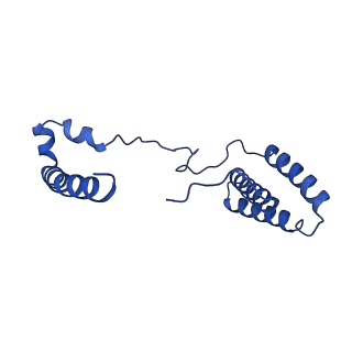 28581_8esw_B9_v1-1
Structure of mitochondrial complex I from Drosophila melanogaster, Flexible-class 1