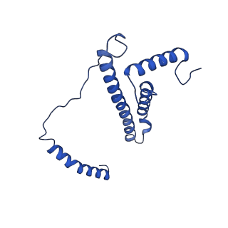 28581_8esw_BL_v1-1
Structure of mitochondrial complex I from Drosophila melanogaster, Flexible-class 1