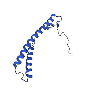 28581_8esw_C2_v1-1
Structure of mitochondrial complex I from Drosophila melanogaster, Flexible-class 1