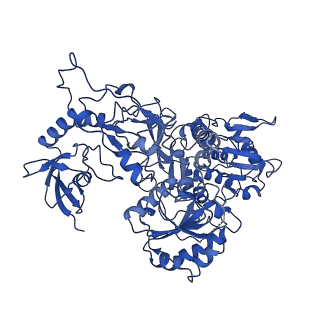 28581_8esw_S1_v1-1
Structure of mitochondrial complex I from Drosophila melanogaster, Flexible-class 1